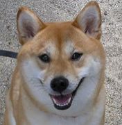 Ω