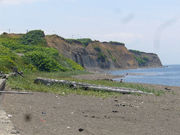 厚田ﾊﾞｰﾍﾞｷｭｰｸﾗﾌﾞ