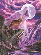 蒼き狼の住みか