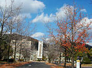 ��ͤ����