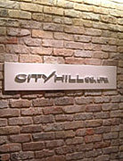 CityHill 2008�������