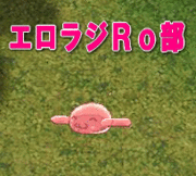 �����饸�ң���