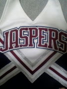 大阪体育大学　JASPERS
