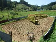 Τ�����󥿡��󥷥åפ����