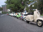 Vintage Scooter Club