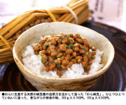 Natto Association in America