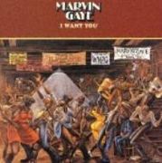 ���󥵡�����ʤ��Ƥ��٤롪