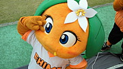 䤹