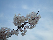 ���꾦�ȹ⹻��������������