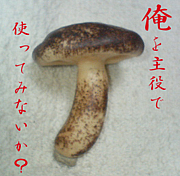 しいたけ倶楽部