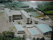 �����Ω���۹⹻������6����