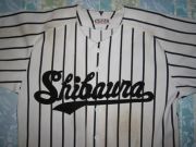 �Ǳ������������������