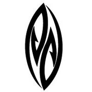 POSITIVE DIRECTION SURFBOARD