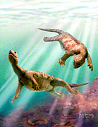 ���ɥ�ȥ��ꥹ