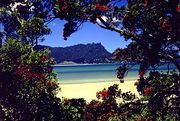 Whangarei of NZ
