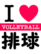 ＳＢＤＢ バレーボール 男女混合