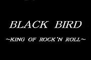 BLACK BIRD 's BAND
