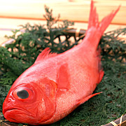 �����䤦�ᤧ