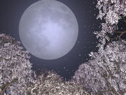 月夜に霜