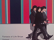 Fantasia of Life Stripe