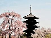 京都一人旅