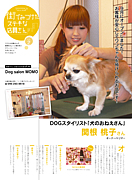 Dog Salon MOMO