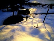 �⤷�Ⱙ�����Ȥ��ϸؤ���ͤ�