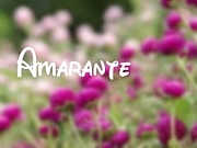 Amarante