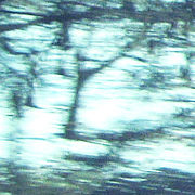 世界が奏でる音楽