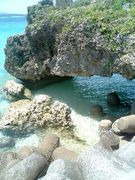 ���륳����ʤ�Ǥ⤳������