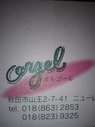 Orgel�����َ��ގ��١���+��