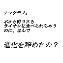 アンタッチャブル柴田の動物の話