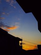 �̿��������롡����mixi������