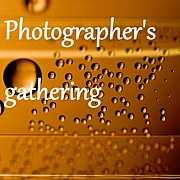 A photographer's gathering