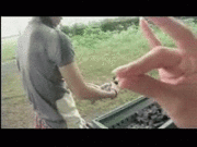 うがぁーw(ﾟДﾟ)w