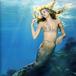 人魚姫 -mermaid-