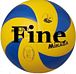 Team Fine ٻХ졼