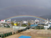 ̧�̹⹻�ƥ˥���