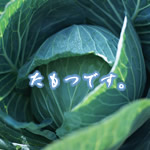 ̾ݡʤġġˤǤ