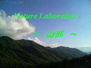 Nature Laboratory 〜山部〜