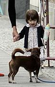 �����ꡦ���롼�� Suri Cruise
