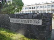 ���⣰��ǯ´�����ƣ������ƣ�