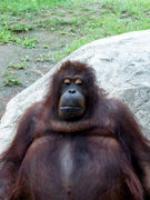 �֣ϣ£šפ�ꥹ�ڥ��Ȥ����