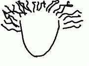 ���β�������äƤ���