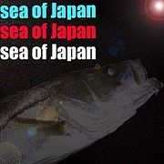 Хܳ sea of Japan