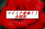 ���ޥ��ߥ��罸�������������ǡ�