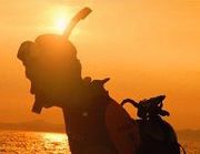 �ԣɣ����巳��