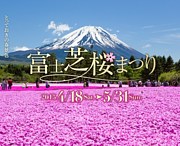 富士芝桜まつり
