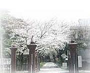 2012★学習院女子大学新入生