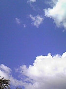 ޤä˺줬ο